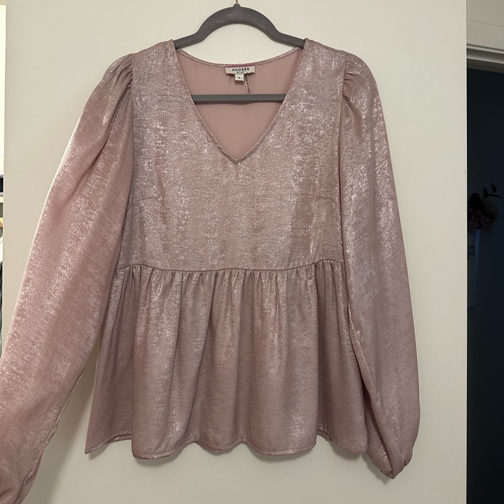 Andree shimmery pink top, long sleeve. Never worn
